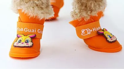 royalwise是什么品牌