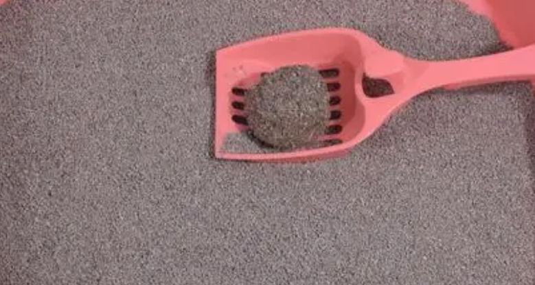 派泰乐猫砂好用吗 派泰乐猫砂好用吗
