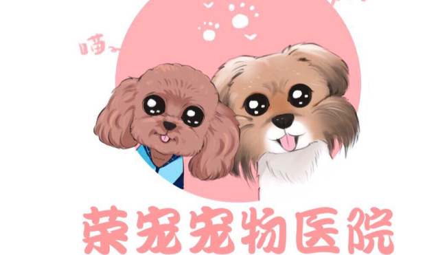 荣宠宠物医院资质
