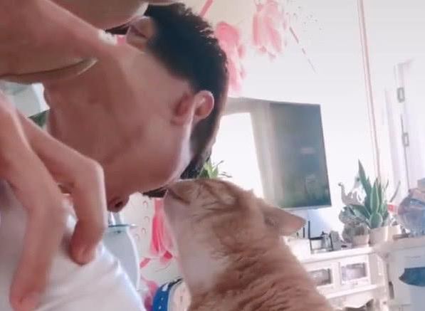 女子提前下班,看见丈夫跟猫亲热不想说话了:你俩过日子去吧 女子提前下班,看见丈夫跟猫亲热不想说话了:你俩过日子去吧