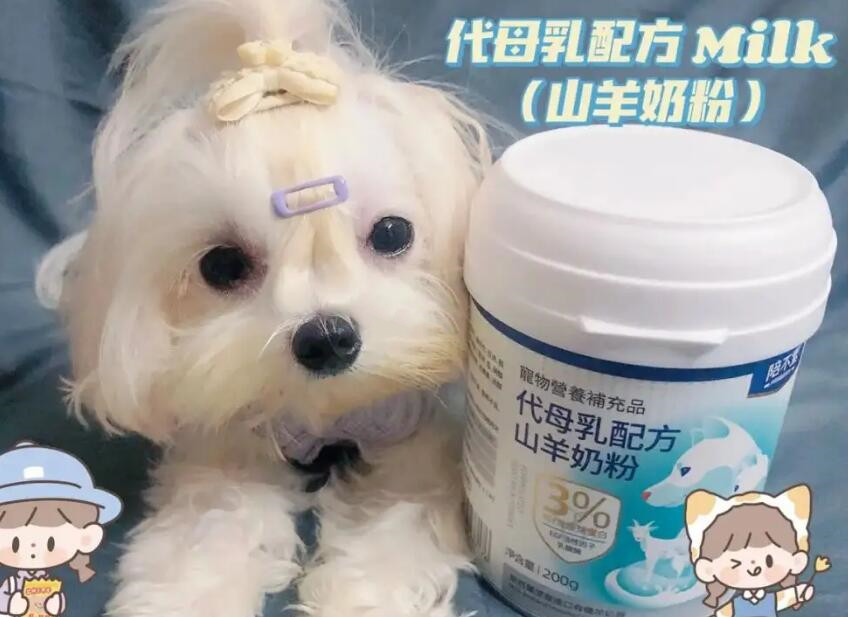陪不累羊奶粉怎么样 陪不累羊奶粉怎么样
