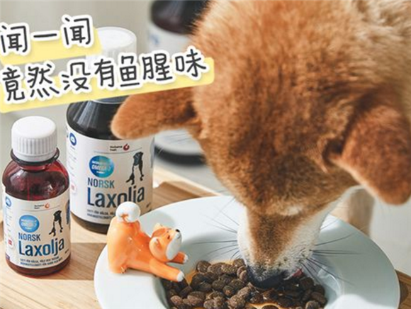 倍澳至臻鱼油价格 倍澳至臻鱼油价格