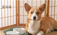 蓝布屋是哪里的牌子