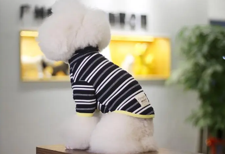 妮克威尔怎么样