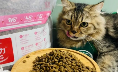 诺比瑞猫粮怎么查真伪 诺比瑞猫粮怎么查真伪