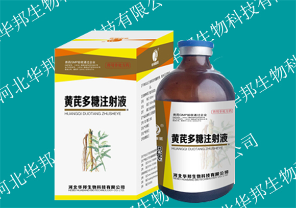 黄芪多糖注射液价格 黄芪多糖注射液价格