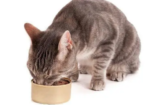 爱普士猫罐头怎么样 爱普士猫罐头怎么样
