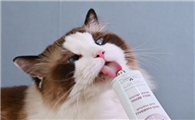 猫猫喜欢吃什么样的化毛膏