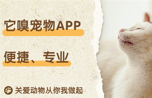 它嗅宠物怎么样
