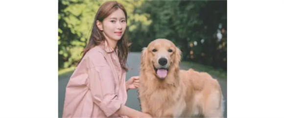金毛能吃什么蔬菜好? 金毛能吃什么蔬菜好?