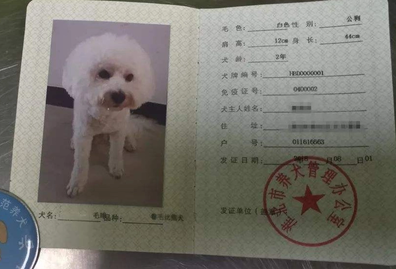 网购买到“星期狗” 专家提醒：购买宠物注意查看免疫证明
