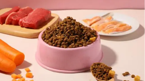 倍琪猫粮，为什么卖猫的都推荐倍琪猫粮？