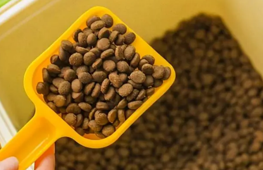 得麦斯猫粮,有谷物的猫粮好吗安全吗? 得麦斯猫粮,有谷物的猫粮好吗安全吗?