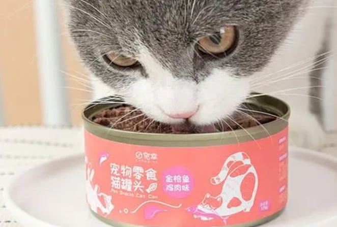 宠幸猫罐头是哪个国家的 宠幸猫罐头是哪个国家的