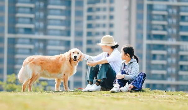 给狗狗起什么名字能给主人带来好运吗 给狗狗起什么名字能给主人带来好运吗