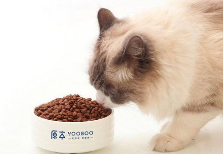 养了个毛孩猫粮怎么没有了