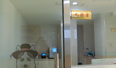安阳市宠物医院哪家好