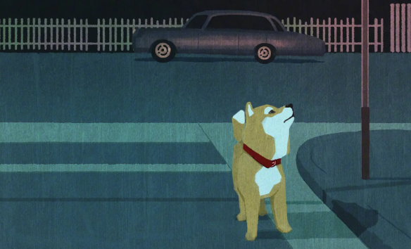 柴犬毛色变白什么原因？避开这两点很重要