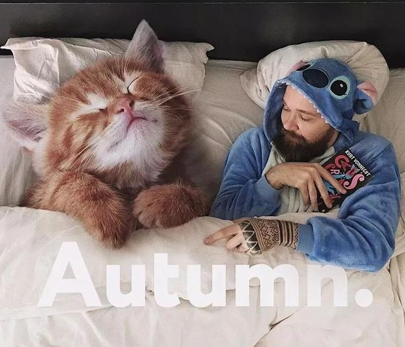 他“养”了一只3米高的猫，私密照曝光后，83万人云撸猫