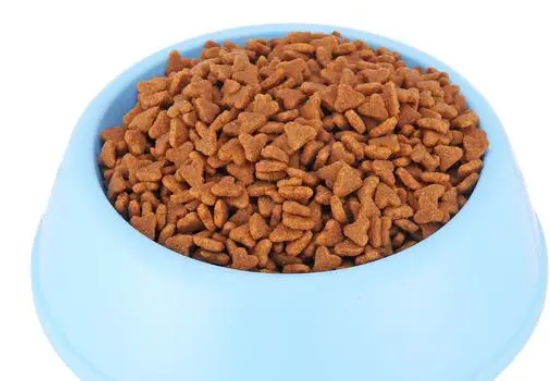 宠物食品竞争激烈，法米娜猫粮何以保持强劲生命力？