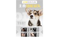 哈格宠物是连锁店吗