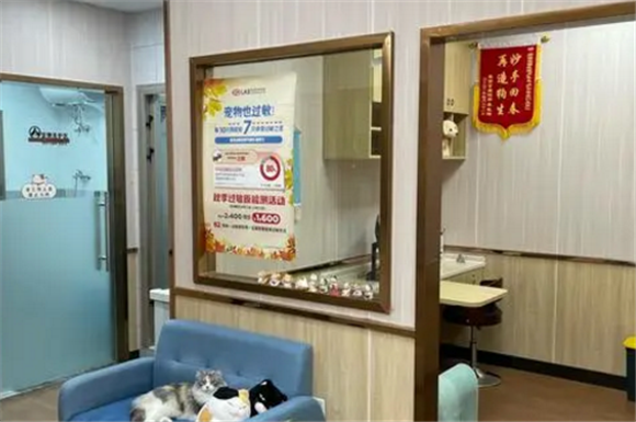 安宠宠物医院怎么样