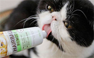 猫咪化毛膏要一直吃吗