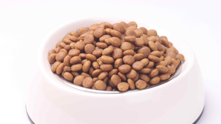 丁豆猫粮怎么样?猫咪喜欢吃吗? 丁豆猫粮怎么样?猫咪喜欢吃吗?