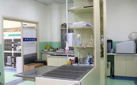 巢湖宠物医院哪家最好