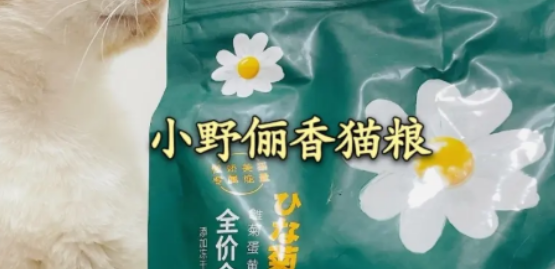 小野俪香和伯纳天纯哪个好 小野俪香和伯纳天纯哪个好
