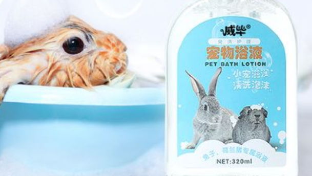 威毕宠物用品好吗?不妨来看看吧 威毕宠物用品好吗?不妨来看看吧