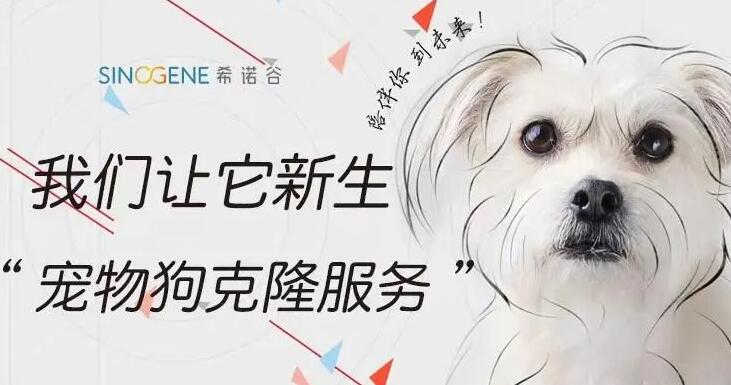 希诺谷宠物克隆官网