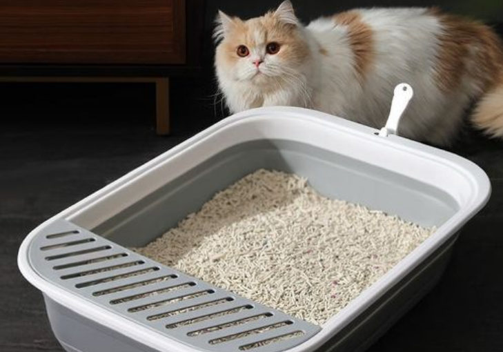 kimpets猫砂盆怎么样