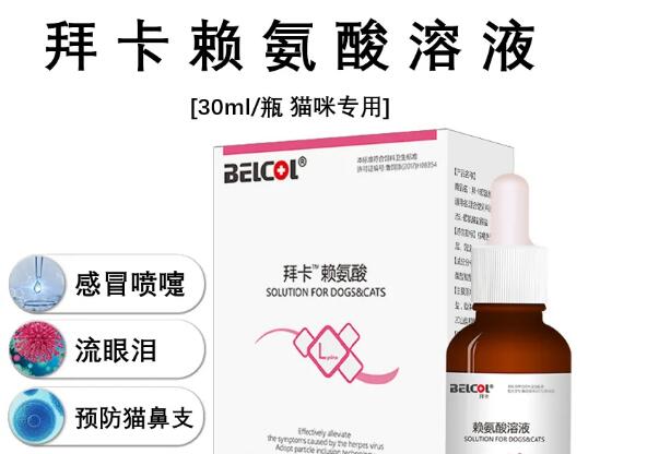 拜卡赖氨酸怎么样 拜卡赖氨酸怎么样