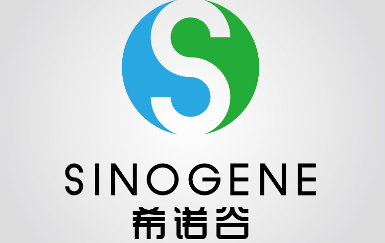 北京希诺谷待遇怎么样