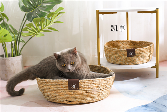 凯卓是什么品牌 凯卓是什么品牌