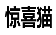惊喜猫是什么牌子