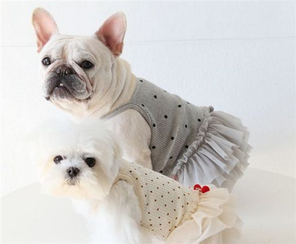 petstyle宠物衣服价格