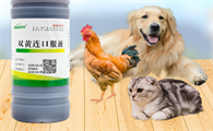 兽药有哪些抗病毒的