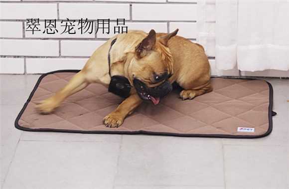 翠恩宠物用品好吗