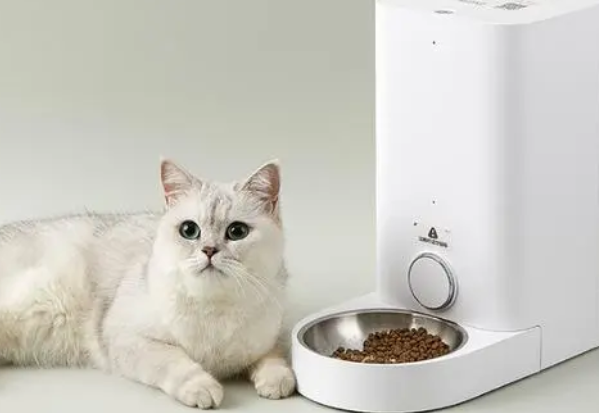 Bistro宠物喂食器好吗