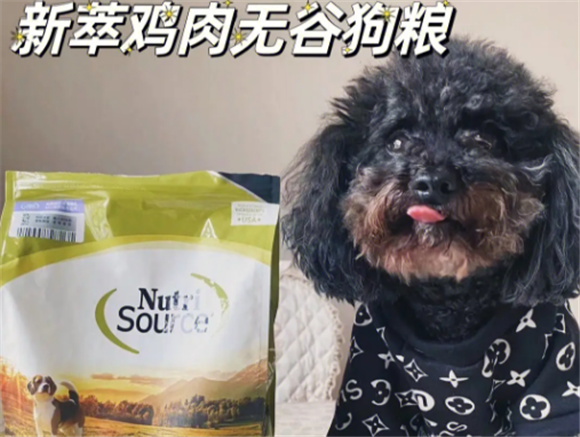 新萃狗粮什么档次