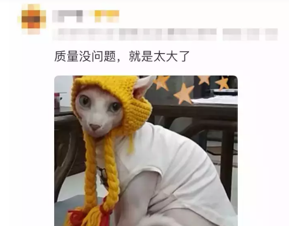 女子给猫买帽子后上传买家秀,却被卖家婉言拒绝:太真实了 女子给猫买帽子后上传买家秀,却被卖家婉言拒绝:太真实了