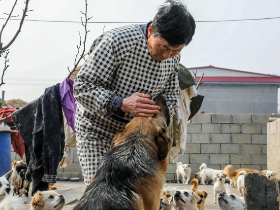 “几百只流浪狗饥荒缺粮”,74岁患肿瘤老人抱着狗狗求人模样让人泪目... “几百只流浪狗饥荒缺粮”,74岁患肿瘤老人抱着狗狗求人模样让人泪目...