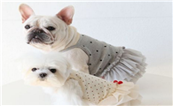 petstyle宠物衣服价格