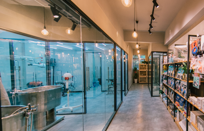 宠物狗放宠物店寄养多少钱