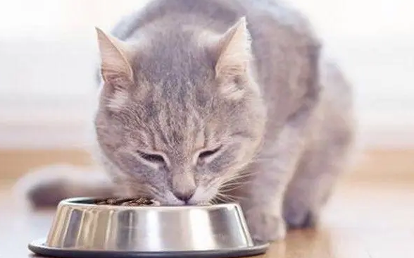 有趣的阿皮猫粮怎么样? 有趣的阿皮猫粮怎么样?