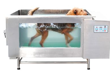 春舟是哪个国家的品牌?啦来看看吧 春舟是哪个国家的品牌?啦来看看吧