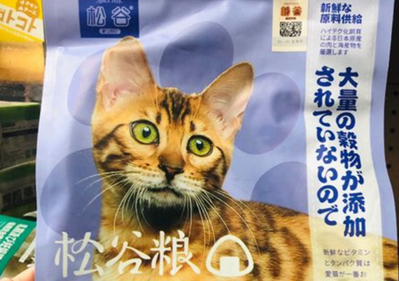 松谷家是什么档次