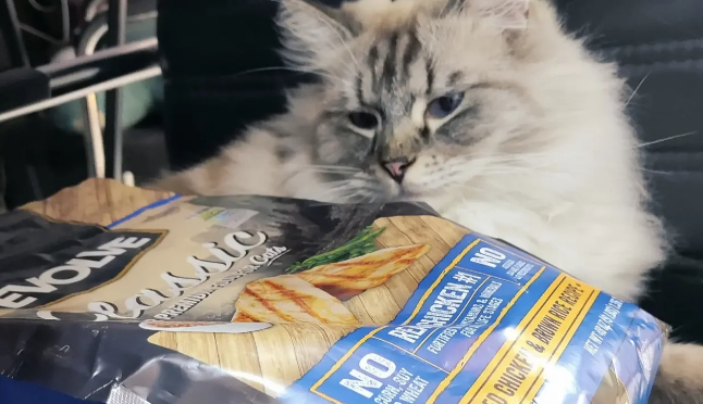 亿沃猫粮是纯进口吗
